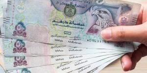 سعر الدرهم الإماراتي مقابل الجنيه المصري اليوم السبت 5 أكتوبر 2024 - تدوينة الإخباري