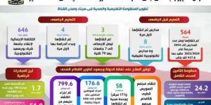 أرض الفيروز تبدأ جني ثمار ملحمة مشروعات التنمية خلال 10 سنوات (إنفوجراف) - تدوينة الإخباري