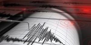 زلزال بقوة 4.7 درجات يضرب جنوب جزر كيرماديك - تدوينة الإخباري