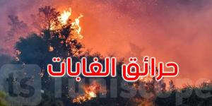 تونس: الحرائق تُتلف حوالي 56 ألف هكتار من النسيج الغابي بين 2016 و2023 - تدوينة الإخباري