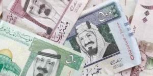 سعر الريال السعودى اليوم السبت 1-2-2025.. فى البنك الأهلى بـ13.33 جنيه - تدوينة الإخباري