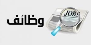 بمرتبات تصل إلى 3600 ريال.. تفاصيل وظائف المصريين في السعودية 2025 - تدوينة الإخباري