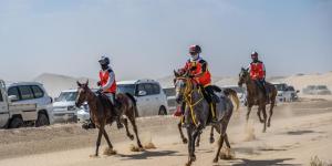 مهرجان سلطان بن زايد للقدرة يستأنف فعالياته - تدوينة الإخباري