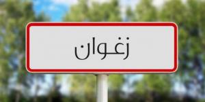 زغوان: وزير التعليم العالي يطلع على سير المؤسسات الجامعية بالمركب الجامعي بزغوان ويتعهد بدعمها بإحداثات جديدة - تدوينة الإخباري