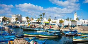 المهدية: أغلب المواد الغذائية ستكون متوفرة بالكميات المناسبة خلال شهر رمضان المعظّم - تدوينة الإخباري