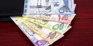 سعر الريال مقابل الجنيه المصري والعملات العربية اليوم الثلاثاء 5-8-1446 - تدوينة الإخباري