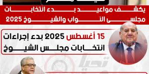 بدء انتخابات مجلسى النواب والشيوخ 2025 في شهرى أغسطس ونوفمبر - تدوينة الإخباري