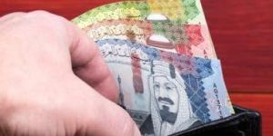 سعر الريال السعودى اليوم الجمعة 7-2-2025..بالبنك الأهلى 13.35 جنيه للشراء - تدوينة الإخباري