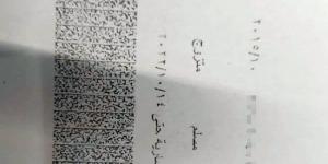 بصورة بطاقتها وبطاقة محمود عبد العزيز.. بوسى شلبى تنفى طلاقها - تدوينة الإخباري