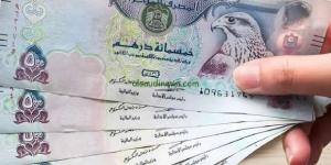 سعر الدرهم الإماراتي اليوم الاثنين 10-2-2025 مقابل الجنيه المصري - تدوينة الإخباري