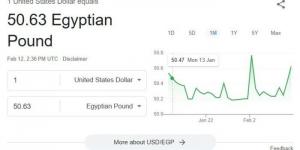 الأخضر يستقر.. سعر الدولار اليوم الأربعاء 12 فبراير 2025 في البنوك - تدوينة الإخباري