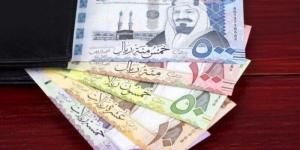 سعر الريال السعودى في مصر اليوم.. الأربعاء 12-2-2025 - تدوينة الإخباري