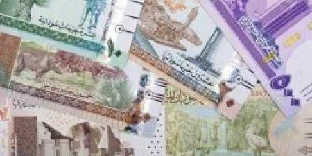 استقر عند هذا الرقم .. سعر الجنيه السوداني مقابل الريال السعودي اليوم الأحد 6 أكتوبر 2024 - تدوينة الإخباري