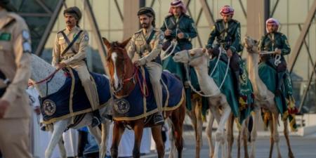 المسيرة العسكرية وعروض الفروسية وسباق الدعو.. مناطق جديدة بـ"معرض الصقور" - تدوينة الإخباري