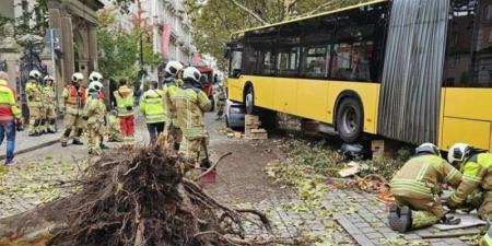 إصابة 30 شخصًا في حادث سير بألمانيا - تدوينة الإخباري