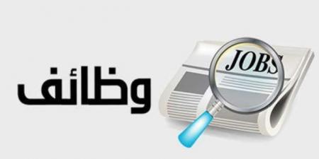 وظائف لخريجي المؤهلات العليا.. أفضل الفرص المتاحة الآن في مصر - تدوينة الإخباري