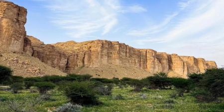 بتحقيق معايير "IUCN".. محمية الوعول أول جهة سعودية تنضمّ للقائمة الخضراء الدولية - تدوينة الإخباري