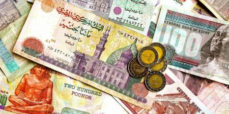 سعر الدولار اليوم مقابل الجنيه المصري.. استقرار في البنوك - تدوينة الإخباري