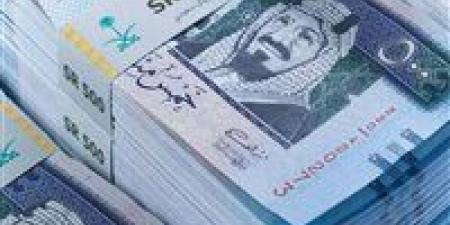 سعر الريال السعودي داخل البنوك اليوم الأربعاء - تدوينة الإخباري