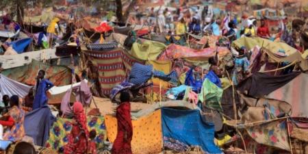 مصر تنفي اتهامات "الدعم السريع" بالمشاركة في معارك السودان - تدوينة الإخباري