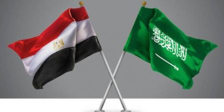 مدبولي: الاتفاقيات الأخيرة بين مصر والسعودية تعزز زخم الاستثمارات المشتركة - تدوينة الإخباري