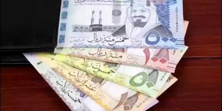 ارتفاع سعر الريال السعودي أمام الجنيه المصري اليوم الجمعة بسبب عمرة رمضان - تدوينة الإخباري