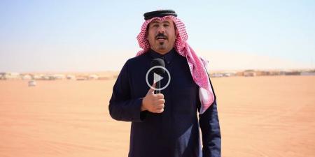 بين الجمال والطباع.. "الشناح" و"المحشاد" أبرز صفات الإبل عند عشاقها - تدوينة الإخباري