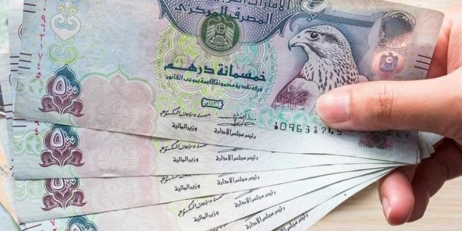 سعر الدرهم الإماراتي مقابل الجنيه المصري اليوم السبت 5 أكتوبر 2024 - تدوينة الإخباري