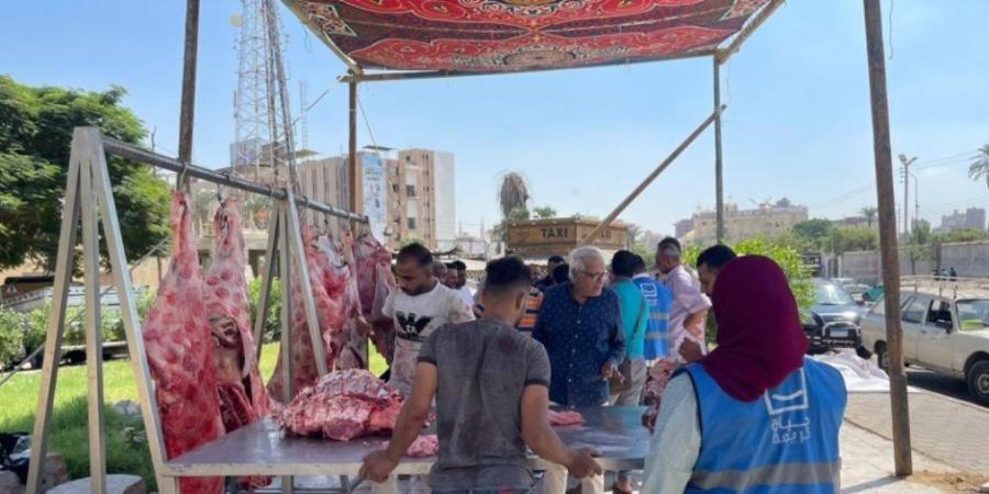 «حياة كريمة» تواجه جشع التجار بمبادرة جديدة لتوفير اللحوم والفراخ بأسعار مدعمة - تدوينة الإخباري