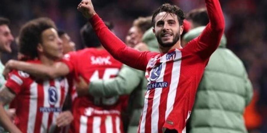 أتلتيكو مدريد يطرد شخصين تورطا في أعمال شغب الديربي - تدوينة الإخباري