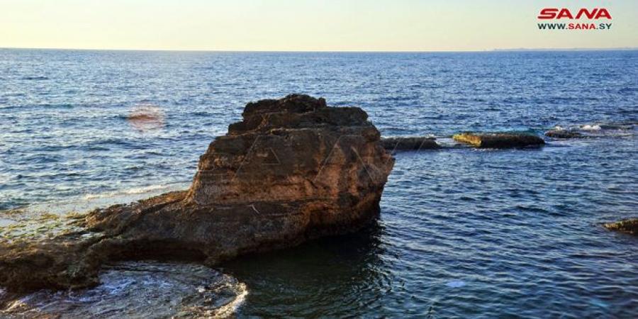 الحرارة أعلى من معدلاتها والجو بين الصحو والغائم جزئياً - تدوينة الإخباري