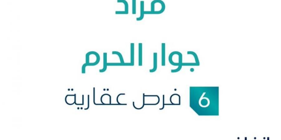 6 فرص عقارية .. مزاد عقاري جديد من شركة دار الأنوار العقارية في مكة المكرمة - تدوينة الإخباري