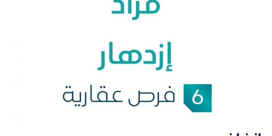 6 فرص عقارية .. مزاد عقاري جديد من شركة كانف العقارية في الرياض - تدوينة الإخباري