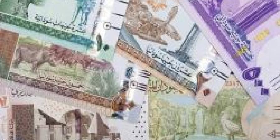 استقر عند هذا الرقم .. سعر الجنيه السوداني مقابل الريال السعودي اليوم الأحد 6 أكتوبر 2024 - تدوينة الإخباري