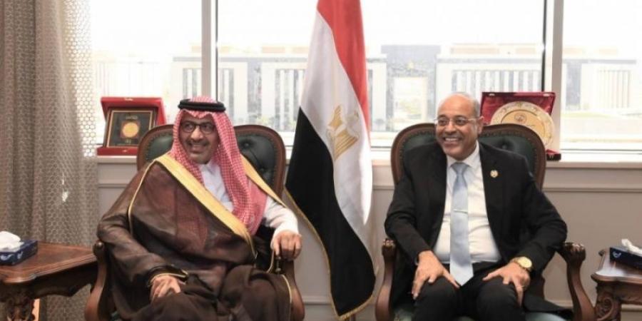 السفير الحصيني يستعرض مع وزير العمل المصري أوجه التعاون المشترك - تدوينة الإخباري