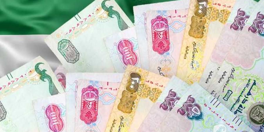 سعر الدرهم الإماراتي اليوم الإثنين 7-10-2024 - تدوينة الإخباري