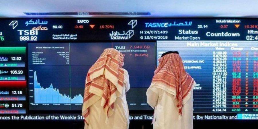 أخبار الرياضة - كم تبلغ حصيلة الطروحات في السوق السعودية منذ بداية 2024؟ - تدوينة الإخباري