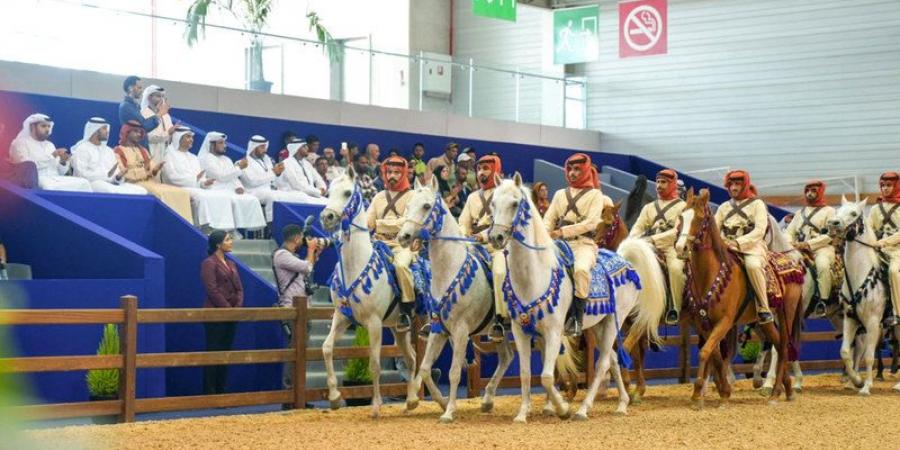 تراث الإمارات يزهو في معرض خيول بالمغرب   - تدوينة الإخباري