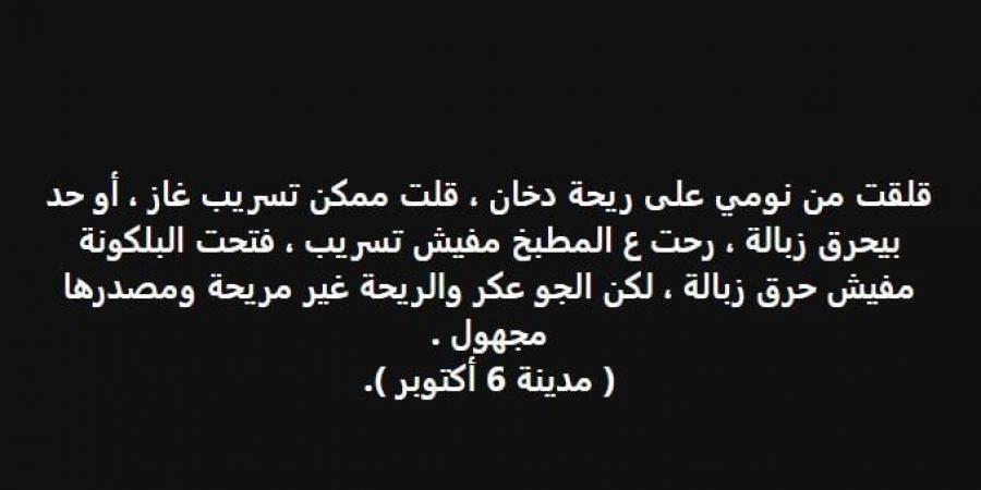 ريحة من الشيخ زايد إلى الحدائق، أسباب انتشار الدخان الخانق في 6 أكتوبر - تدوينة الإخباري