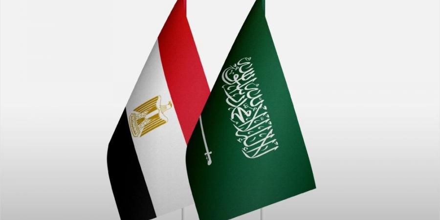 العلاقات السعودية المصرية.. أسس أخوية تاريخية تعززها مصالح سياسية واقتصادية - تدوينة الإخباري