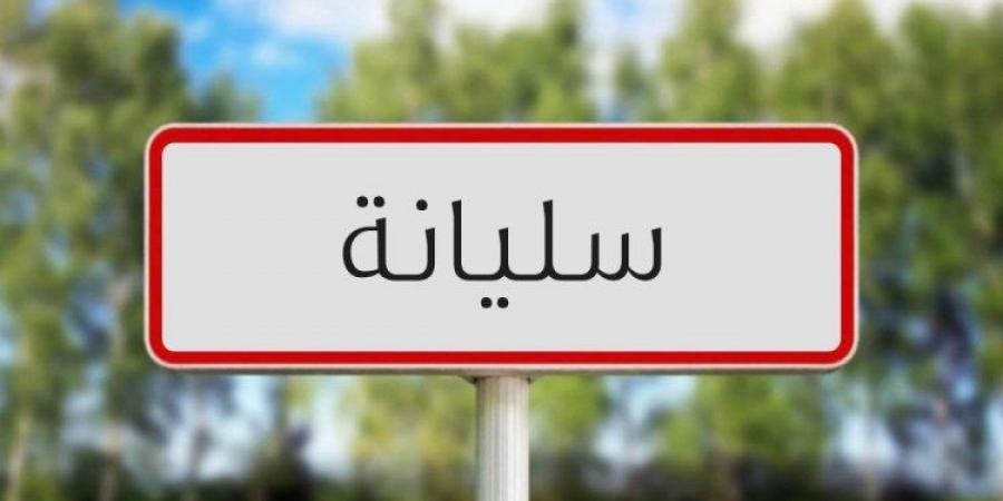 سليانة: المصادقة على جملة من القرارات والبرامج خلال الدورة العادية الثانية للجنة الإدارية التسييرية للمجلس الجهوي - تدوينة الإخباري