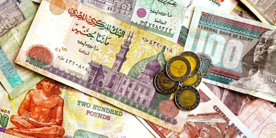 سعر الدولار اليوم مقابل الجنيه المصري.. استقرار في البنوك - تدوينة الإخباري