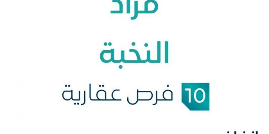 10 فرصة عقارية .. مزاد عقاري جديد من وكالة نخبة الجزيرة للمزادات في حائل - تدوينة الإخباري