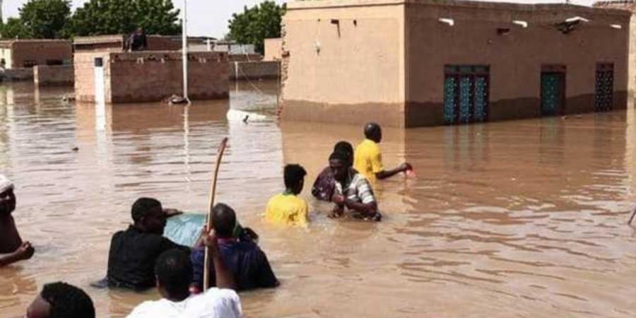 ارتفاع حصيلة ضحايا الأمطار والفيضانات في النيجر إلى 339 شخصًا - تدوينة الإخباري