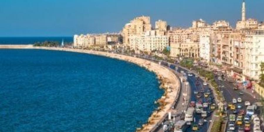 ورشة عمل عن تنمية مساهمة صناعة السياحة في نمو الاقتصاد بالإسكندرية - تدوينة الإخباري