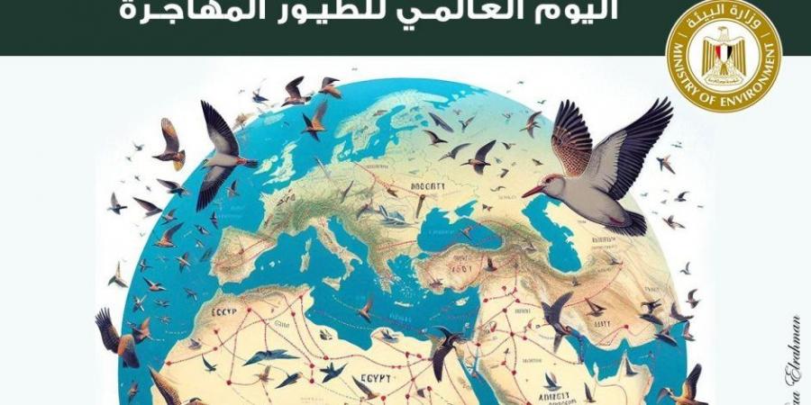 وزيرة البيئة: مصر قبلة الطيور المهاجرة ومحطة هامة للتكاثر والغذاء - تدوينة الإخباري