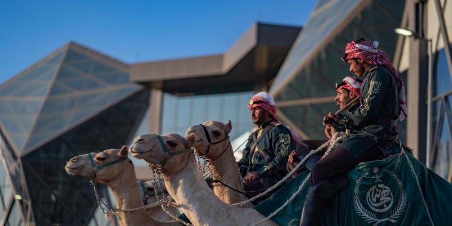 الهجانة موروث شعبي ممتد لأكثر من 90 عامًا في معرض الصقور - تدوينة الإخباري