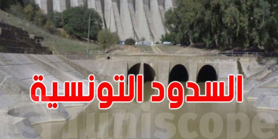 تونس: خبير يدعو الى تعويض السدود بوسائل أخرى - تدوينة الإخباري