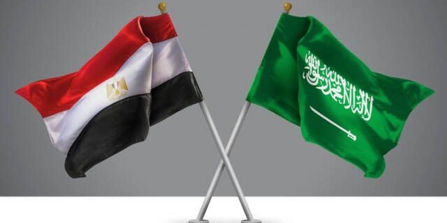 مدبولي: الاتفاقيات الأخيرة بين مصر والسعودية تعزز زخم الاستثمارات المشتركة - تدوينة الإخباري