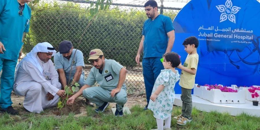 الجبيل تدشن الموسم الثاني للتشجير بزراعة 350 شتلة - تدوينة الإخباري